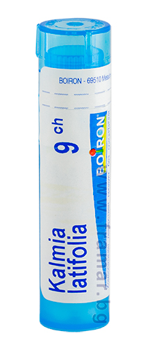 КАЛМИА ЛАТИФОЛИА 9 CH