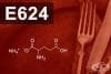 E624 - Моноамониев глутамат (Monoammonium glutamate)