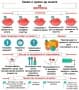 Какво трябва да знаем за херпеса (инфографика)