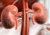 Развитие на българската урология през втората половина на XX век