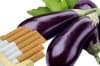 Хранителни продукти, съдържащи никотин