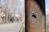 Еyebombing – уличното изкуство, което вдъхва живот на софийските улици