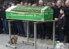 Куче с разбито сърце посещава гроба на стопанина си всеки ден