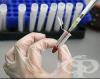 В Габрово стартират безплатни тестове за Лаймска болест
