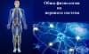 Обща физиология на нервната система