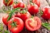 Използвайте английска сол за по-вкусни домати и чушки