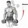 Упражненията за рамо и мускулите, които те засягат (инфографика)