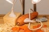 12 ������������ ���������� ��������, ����� �� �������� � �������