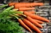Какви полезни свойства крият морковите