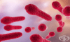 Анаеробни спорообразуващи бактерии (Род Clostridium)
