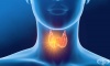 Над 1,5 милиарда души в света са изложени на риск от заболяване на щитовидната жлеза
