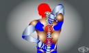 Болките в гърба - причини, видове, диагноза, лечение и профилактика