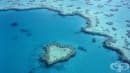 Еколози официално обявиха Големия бариерен риф за мъртъв (Снимки) 