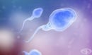 Изкуствен интелект е способен да открие за секунди жизнени сперматозоиди при мъже, страдащи от безплодие