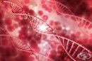 Учени откриха първия ген, произвел хемоглобин
