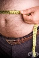 Затлъстяването – риск за здравето