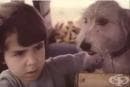 Поглед към българското кино: филмът "Куче в чекмедже" (1982)