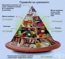 Хранителна пирамида или схематично изображение на принципите на здравословното хранене