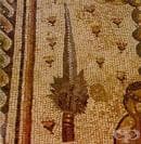 История на еврейската медицина