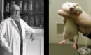 История на учените, допринесли за развитието на медицинската наука