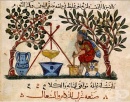 История на арабската медицина