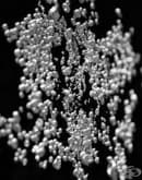 ���������� �������� �� �������� ���� 20 ��� 