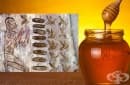 История на нелекарствените вещества и продукти, използвани за медицински цели