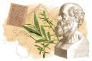История на билките в медицинската наука