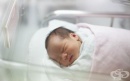 В Мексико се роди първото в света бебе с трима биологични родители (Снимка)