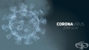 6  2021 .:  3860   COVID-19   19 210 