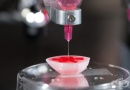 Много скоро триизмерни принтери ще създават живи органи