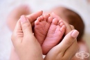 Прецедент в САЩ: Жена с трансплантирана матка роди здраво бебе