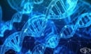 Откриха десет генетични региона, повишаващи риска от наследствени аритмии