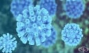 Хепатит В може да предизвика генетични промени в чернодробните клетки години преди диагнозата рак