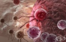 Раковите клетки използват захарен остатък, за да избегнат имунната система