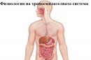 Физиология на храносмилателната система