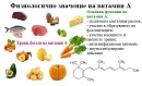 Физиологично значение на витамин А