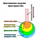 ���������� ������ ������������