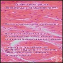 ���������� �� ������� �� ���������� �� �������� �������