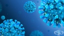 Тревожност или коронавирус: Как да разберем разликата