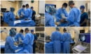 Hyalofast � ��������������� ������� �� ����������� �� ���������� �����������