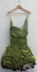 ������� ���� ��������