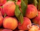 Как да намалим консумацията на пестициди, съдържащи се в плодовете и зеленчуците?