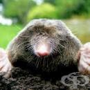 ��� �� �������� ��������� � ��������� �� ��� ��������� � ������?