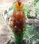 ��������� �� ��� ��������� �� ��������� �� ����� ����������� �������