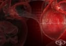 Открийте 7 опасни признака на запушени артерии