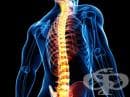 Травми в областта на гърба и кръста