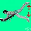 ������� ��������������