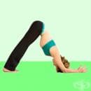 ���� ���� ������