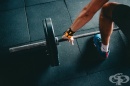 ������ ������ "Bul Fitness", ��. �����